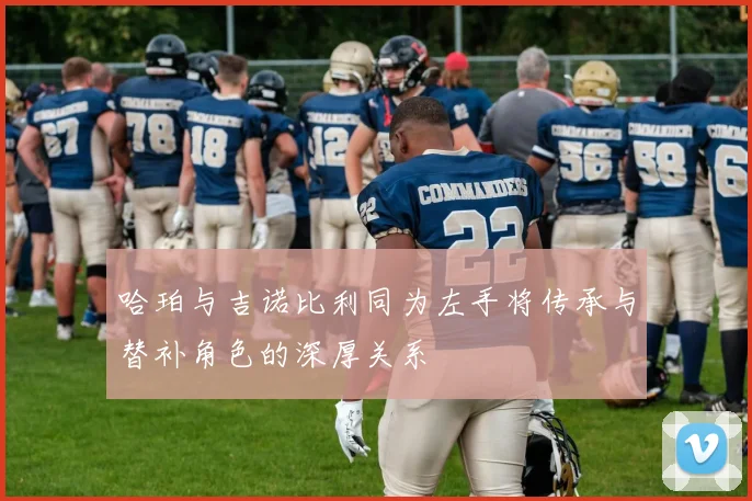 哈珀与吉诺比利同为左手将传承与替补角色的深厚关系