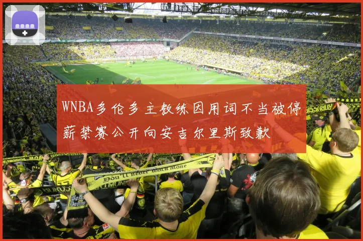 WNBA多伦多主教练因用词不当被停薪禁赛公开向安吉尔里斯致歉